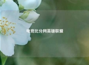 电竞比分网英雄联盟