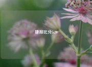 捷报比分5.20