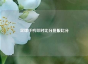 足球手机即时比分捷报比分