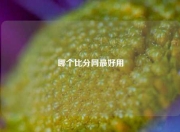 哪个比分网最好用