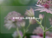 足球比分90vs滚球手机 https