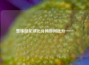 雪缘园足球比分网即时比分一一