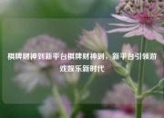 棋牌财神到新平台棋牌财神到，新平台引领游戏娱乐新时代