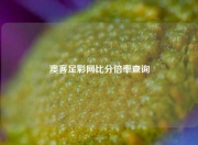 澳客足彩网比分倍率查询