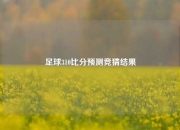 足球310比分预测竞猜结果