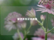 雷速体育足球直播