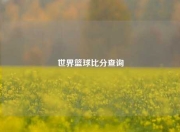 世界篮球比分查询