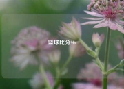篮球比分90s