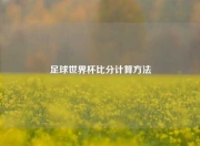 足球世界杯比分计算方法