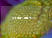 羽毛球比分网即时比分一一