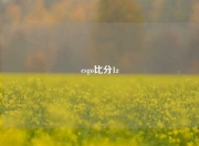 csgo比分1z