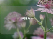 即时比分cba