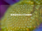 雪缘园足彩比分完场赛果