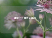 球探比分即时足球007一