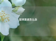 篮球英语怎么念