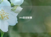 2016亚冠联赛