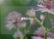 捷报比分4.5