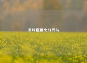 足球直播比分网站