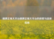 棋牌正规大平台棋牌正规大平台的探索与选择指南