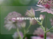190bp踢球者即时比分手机版