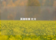 英雄联盟 比分