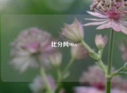 比分网90vs