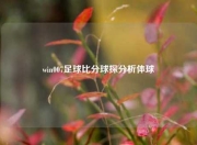 win007足球比分球探分析体球