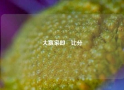 大赢家即吋比分