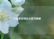 大赢家足球比分官方数据