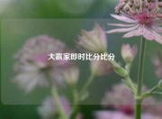 大赢家即时比分比分