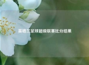 英格兰足球超级联赛比分结果