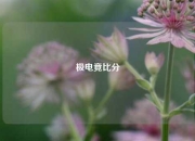 极电竟比分