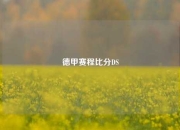 德甲赛程比分DS