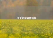 天下足球直播官网
