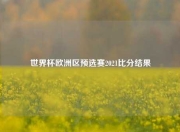 世界杯欧洲区预选赛2021比分结果