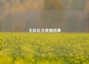 主队比分竞猜结果