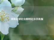 球探足球比分即时比分手机版