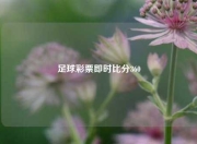 足球彩票即时比分360