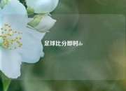 足球比分即时ds