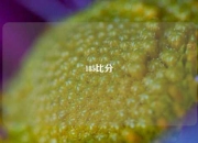 185比分
