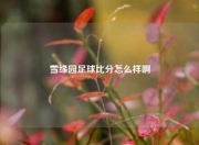 雪缘园足球比分怎么样啊