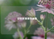 日职联赛推荐最新