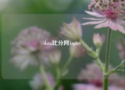 dota比分网1zplay
