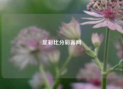 足彩比分彩客网