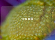 比分 网球