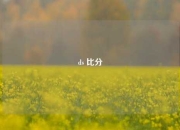 ds 比分