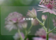 比分换算