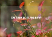 足球世界杯最大比分差是多少