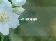 599足球实时视频