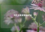 大比分赢家捷报比分